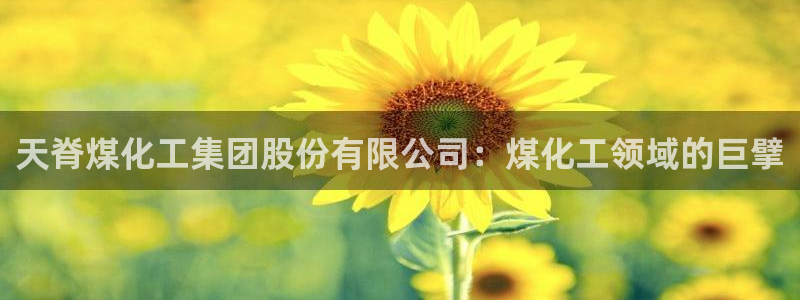 球盟会app最新地址下载安装