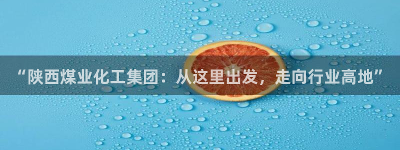 球盟会qmh网页版登录 - qm球盟会官方网站：“陕西煤业化