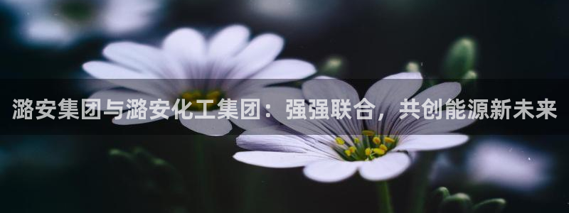 球盟会网址多少