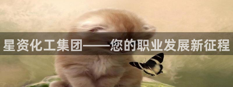 球盟会体验金