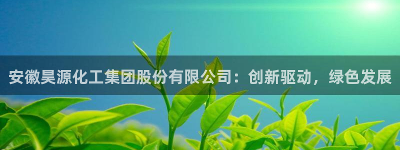 球盟会qmh网页版登录：安徽昊源化工集团股份有限公司：创新驱