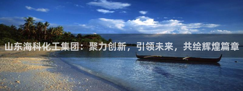 球盟会优惠码：山东海科化工集团：聚力创新，引领未来，共绘辉煌