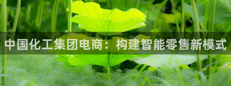 球盟会最新网：中国化工集团电商：构建智能零售新模式
