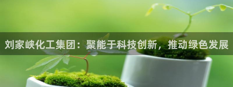 球盟会封号：刘家峡化工集团：聚能于科技创新，推动绿色发展