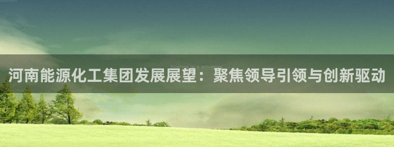 球盟会官网：河南能源化工集团发展展望：聚焦领导引领与创新驱动
