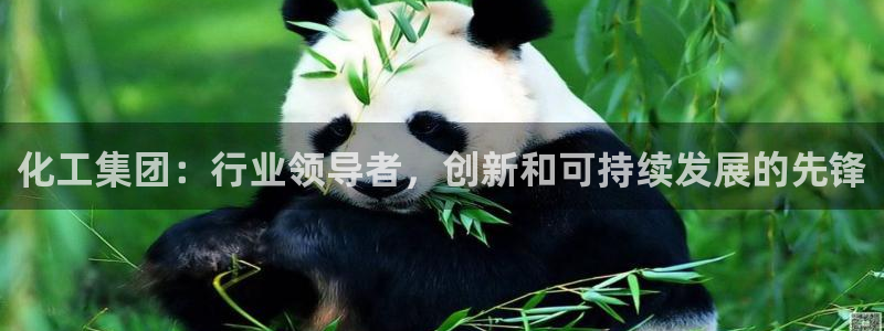 球盟会登录入口：化工集团：行业领导者，创新和可持续发展的先锋