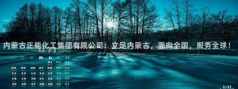 球盟会网页登录：内蒙古正能化工集团有限公司：立足内蒙古，面向