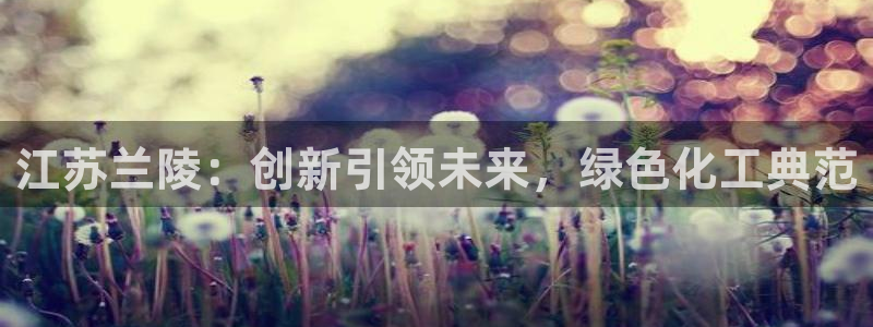 球盟会有没有黑单的：江苏兰陵：创新引领未来，绿色化工典范
