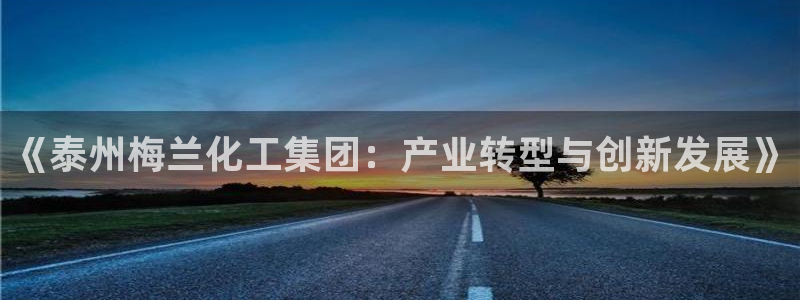 球盟会官网网页版：《泰州梅兰化工集团：产业转型与创新发展》