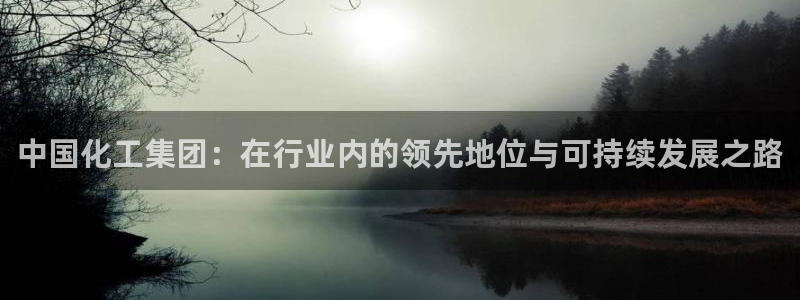 球盟会优惠码：中国化工集团：在行业内的领先地位与可持续发展之