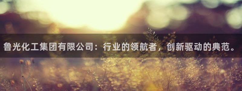 球盟会网页登录：鲁光化工集团有限公司：行业的领航者，创新驱动