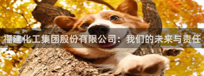 球盟会邮箱：福建化工集团股份有限公司：我们的未来与责任