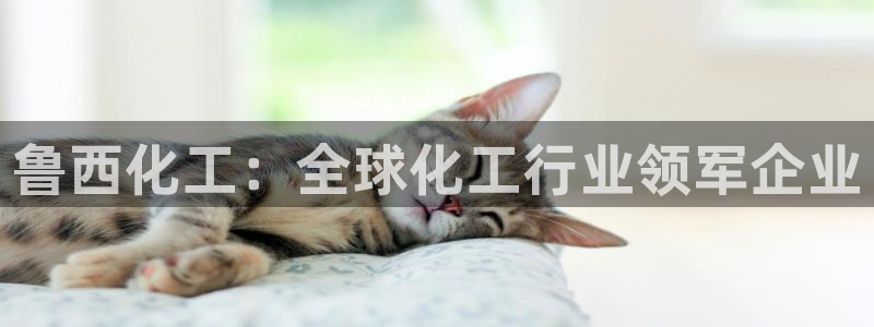球盟会综合体育平台怎么样：鲁西化工：全球化工行业领军企业