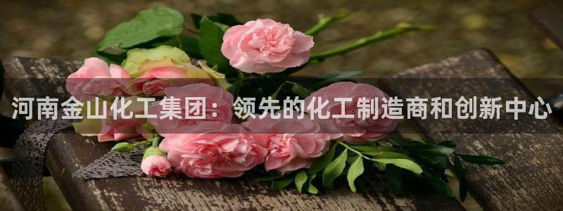 球盟会登陆：河南金山化工集团：领先的化工制造商和创新中心
