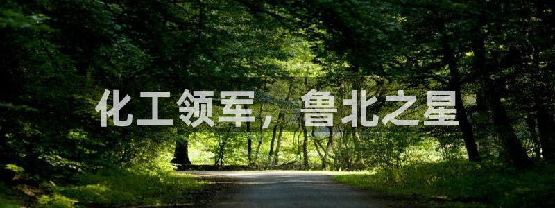 球盟会黑台子吗：化工领军，鲁北之星