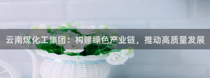 球盟会官网入口：云南煤化工集团：构建绿色产业链，推动高质量发