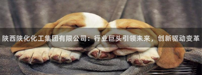 球盟会连接：陕西陕化化工集团有限公司：行业巨头引领未来，创新