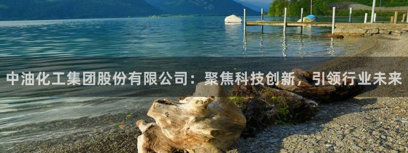 球盟会官方网站入口：中油化工集团股份有限公司：聚焦科技创新，
