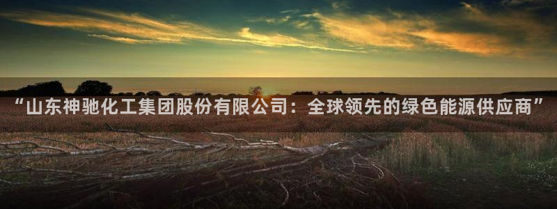球盟会和中欧会的区别：“山东神驰化工集团股份有限公司：全球领