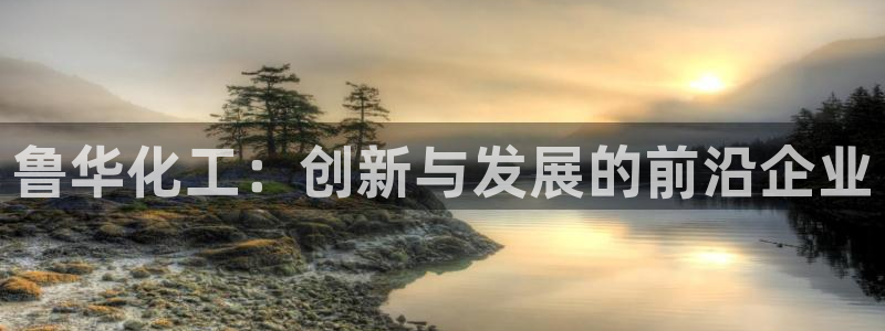 球盟会网页登录入口：鲁华化工：创新与发展的前沿企业