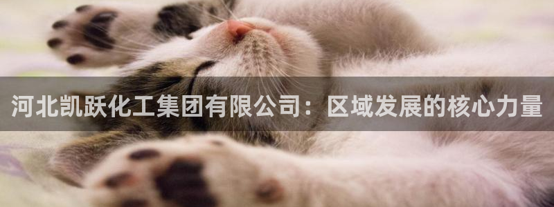 球盟会游戏：河北凯跃化工集团有限公司：区域发展的核心力量