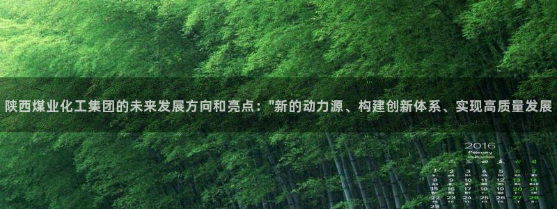 球盟会手机网页版：陕西煤业化工集团的未来发展方向和亮点：\