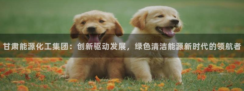 球盟会网页登录app下载地址：甘肃能源化工集团：创新驱动发展