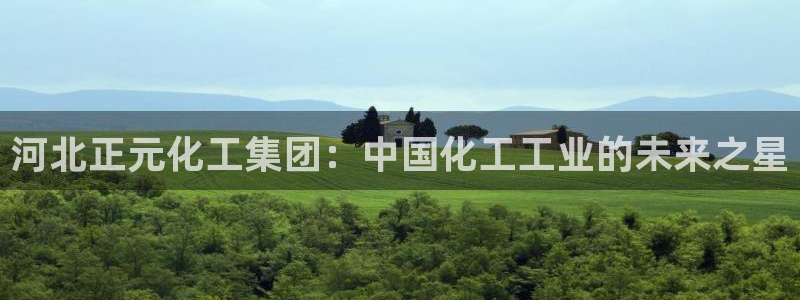 球盟会有没有黑单的活动：河北正元化工集团：中国化工工业的未来