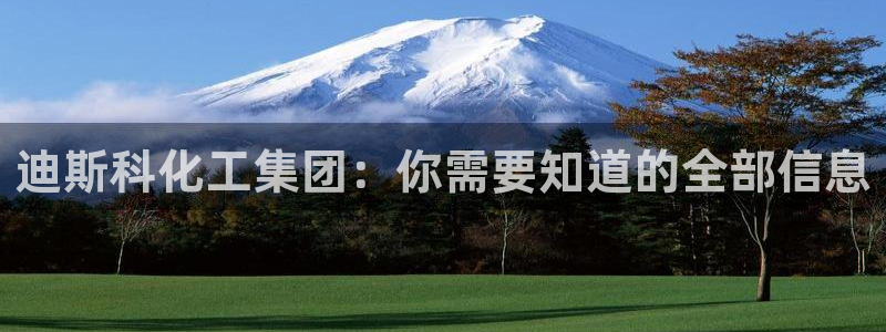 球盟会里面有打牌的嘛