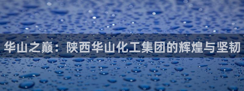 球盟会用的客服聊天是哪个软件：华山之巅：陕西华山化工集团的辉