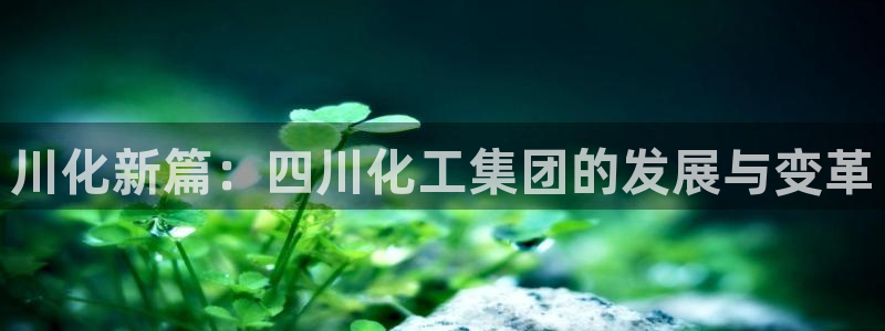 球盟会优惠码：川化新篇：四川化工集团的发展与变革