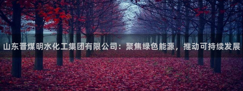 球盟会登录入口：山东晋煤明水化工集团有限公司：聚焦绿色能源，