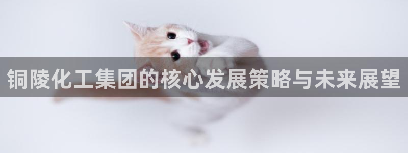 球盟会最新：铜陵化工集团的核心发展策略与未来展望