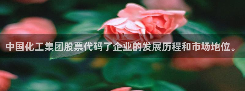 球盟会qmh网页版登录 - qm球盟会官方网站：中国化工集团