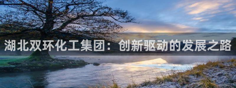 球盟会游戏：湖北双环化工集团：创新驱动的发展之路