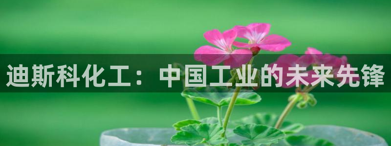 球盟会吧：迪斯科化工：中国工业的未来先锋