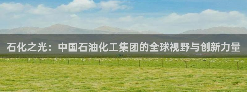 球盟会和中欧会的区别：石化之光：中国石油化工集团的全球视野与