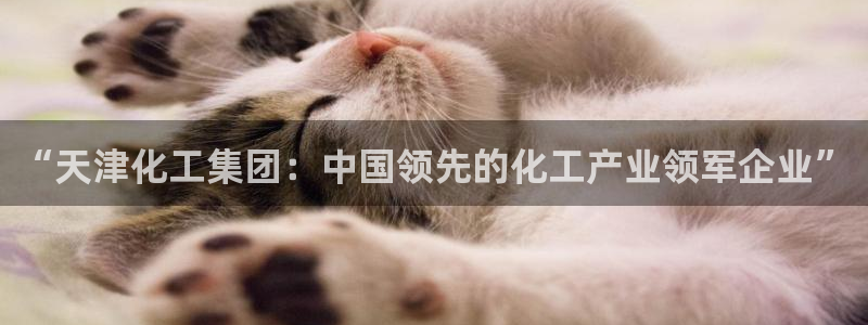 球盟会qmh - 球盟会官方网站：“天津化工集团：中国领先的