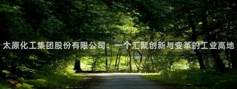 球盟会进不去球员吗：太原化工集团股份有限公司：一个汇聚创新与
