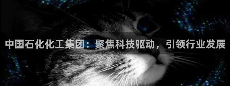球盟会官方平台入口：中国石化化工集团：聚焦科技驱动，引领行业