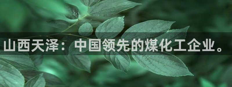 球盟会游戏：山西天泽：中国领先的煤化工企业。