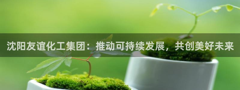 球盟会app最新地址下载安装：沈阳友谊化工集团：推动可持续发