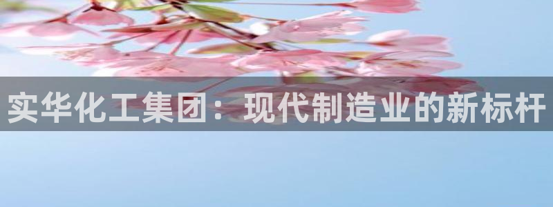 球盟会app入口：实华化工集团：现代制造业的新标杆