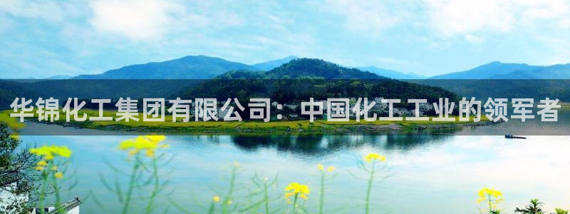 球盟会进不去：华锦化工集团有限公司：中国化工工业的领军者