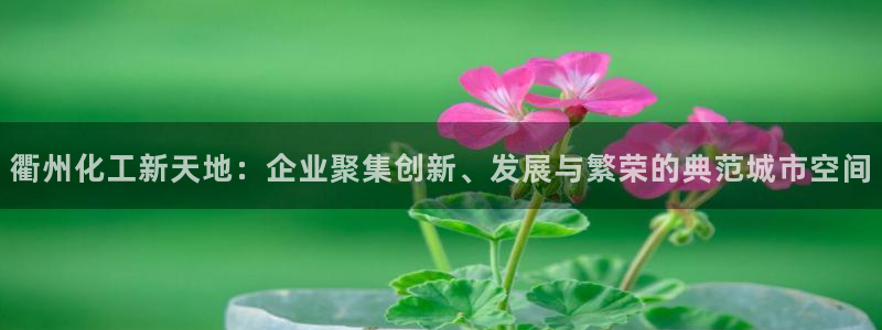 球盟会入口：衢州化工新天地：企业聚集创新、发展与繁荣的典范城