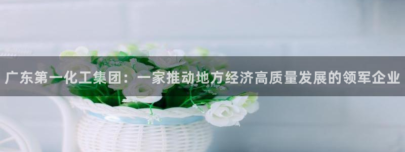 球盟会进不去：广东第一化工集团：一家推动地方经济高质量发展的