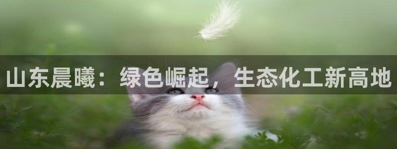 球盟会登陆入口：山东晨曦：绿色崛起，生态化工新高地