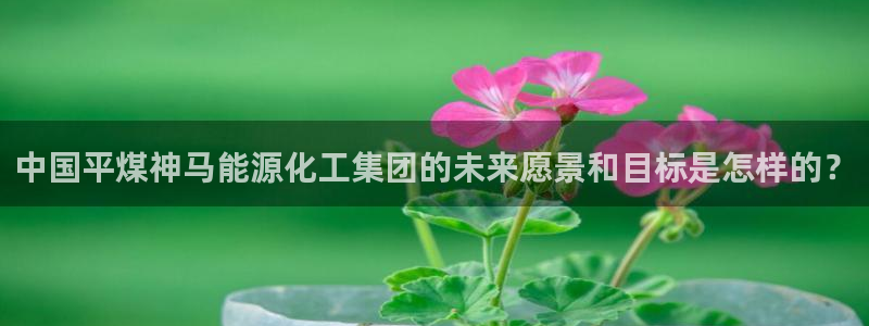 球盟会和中欧合作吗：中国平煤神马能源化工集团的未来愿景和目标