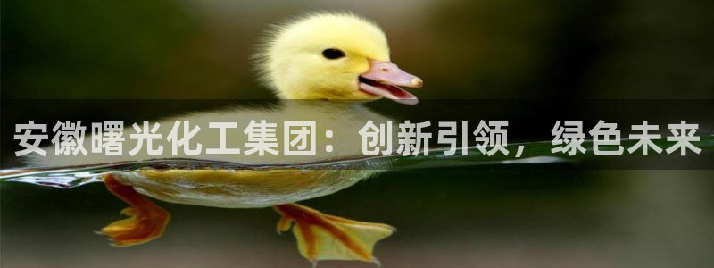 球盟会最新：安徽曙光化工集团：创新引领，绿色未来