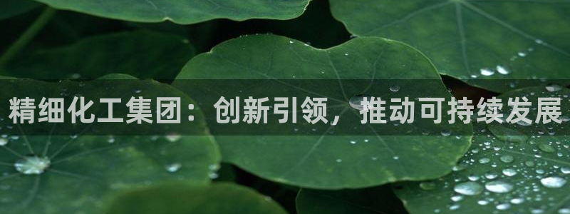 千亿球盟会乐玩：精细化工集团：创新引领，推动可持续发展